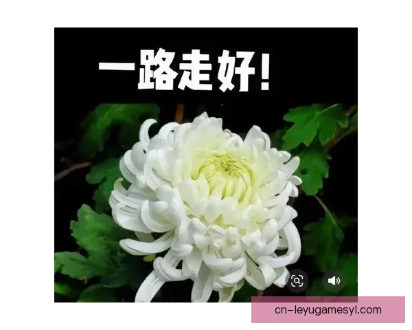 天堂深处的思念与告慰永恒之情